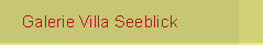 Galerie Villa Seeblick Baabe