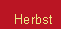 Herbst auf Rügen